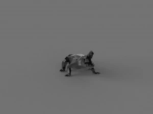 3D LOW POLY CROCODILE PRINTABLE MODEL 3D Model
