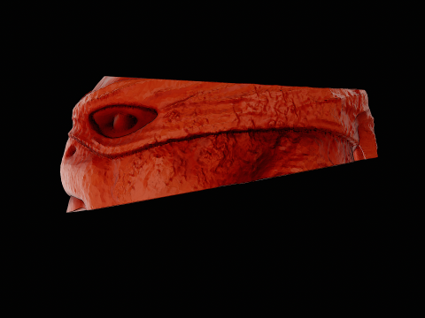 Leonrdo ninja turtles ready to print model 3D Print Model