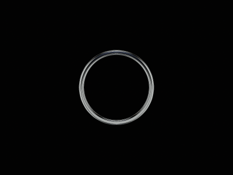 Ornomental flower ring ready to print model 3D 프린트 모델