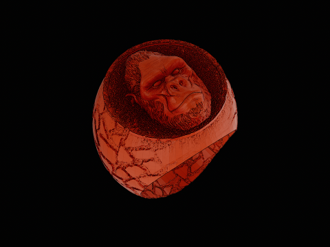 Gorilla ring ready to print model - Modello di stampa 3D