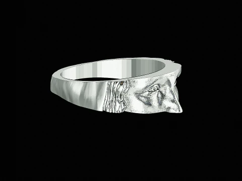 Monolisa head silver ready to print model 3D Print Model