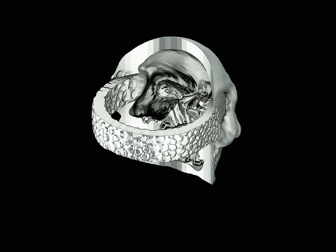 Skull head silver ring ready to print model Model Cetak 3D