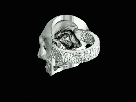 Skull head silver ring ready to print model Model Cetak 3D