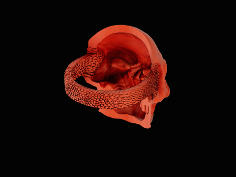 Skull head silver ring ready to print model 3D-Druckmodell