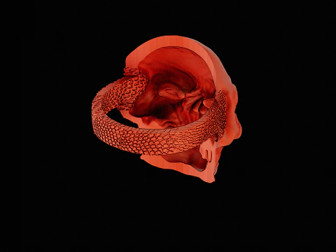 Skull head silver ring ready to print model 3D Print Model