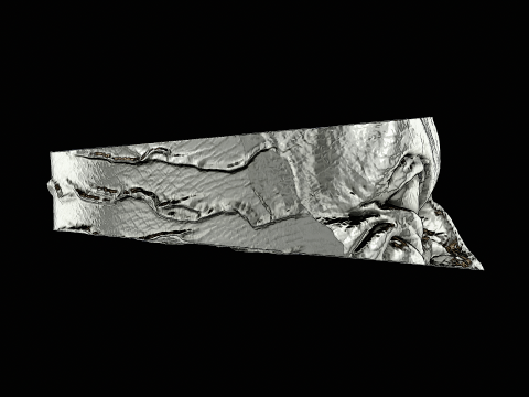 Gollum head silver ring ready to print model Modello di stampa 3D