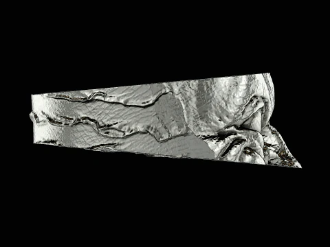 골룸 헤드 실버 링 인쇄 준비 완료 모델 3D 프린트 모델