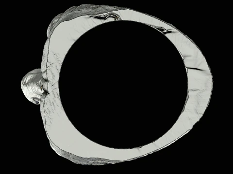 골룸 헤드 실버 링 인쇄 준비 완료 모델 3D 프린트 모델