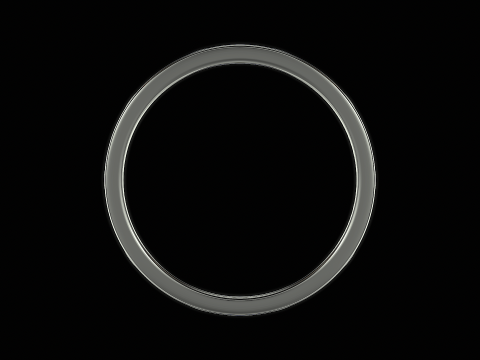Shark back silver ring ready to print model 3D 프린트 모델