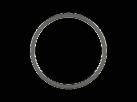 Shark back silver ring ready to print model 3D Print Model