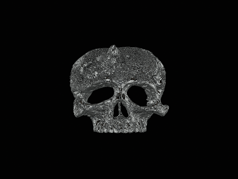 Skull head silver ring ready to print model 3D-Druckmodell
