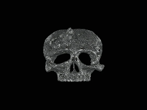 Skull head silver ring ready to print model 3D Print Model