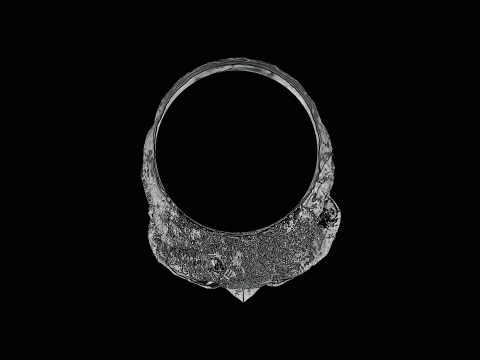 Skull head silver ring ready to print model 3D-Druckmodell