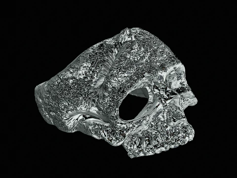Skull head silver ring ready to print model 3D Print Model