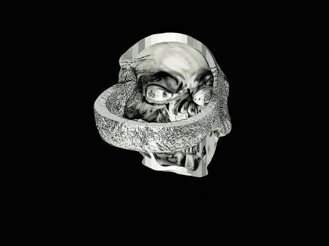 Skull head silver ring ready to print model 3D Print Model