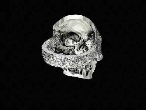 Skull head silver ring ready to print model 3D Print Model