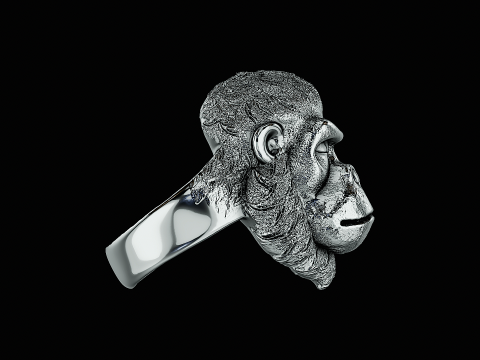 Ape head silver ring ready to print model 3D 打印模型