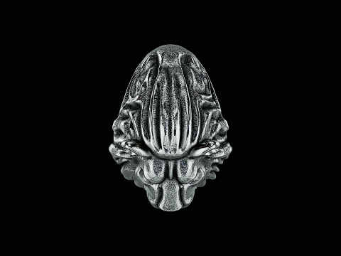 Lion head silver ring ready to print model Model do druku 3D
