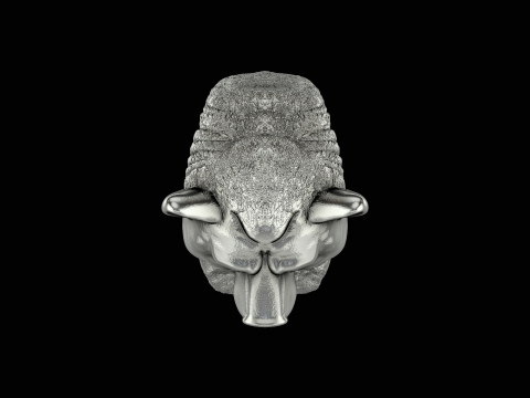 Bear silver ring ready to print model Modelo de impresión 3D