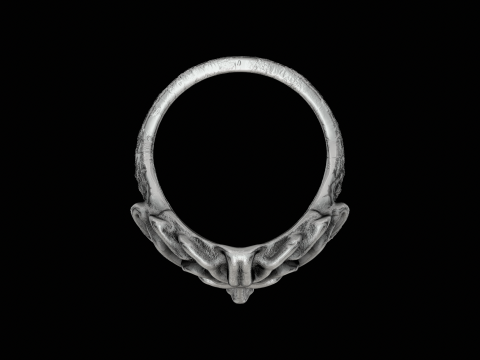 Medusa head silver ring ready to print model 3D 프린트 모델