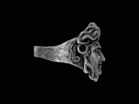 Medusa head silver ring ready to print model 3D 프린트 모델