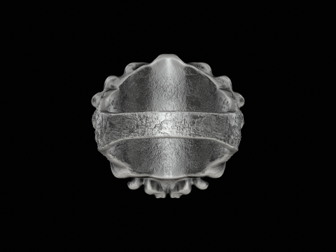 Medusa head silver ring ready to print model 3D 프린트 모델