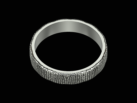 Snake textured silver ring ready to print model 3Dプリントモデル
