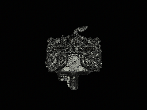 Medusa head silver ring ready to print 3Dプリントモデル