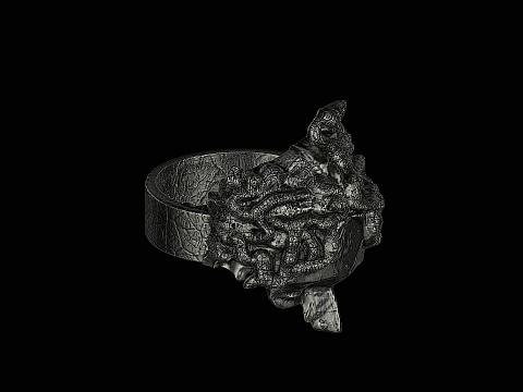 Medusa head silver ring ready to print 3Dプリントモデル