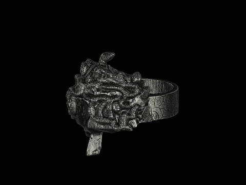 Medusa head silver ring ready to print 3D Print Model