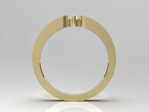 Simple gold coupling 006 3D Model
