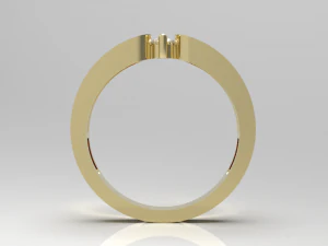Simple gold coupling 006 3D Model