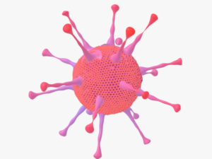 Adeno virus Modèle 3D
