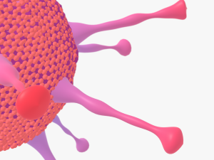 Adeno virus Modelo 3D