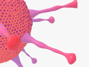 Adeno virus 3D Model