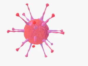 Adeno virus 3D Model
