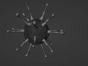 Adeno virus 3D Model