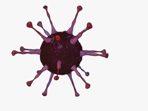 Adeno virus Modelo 3D