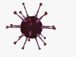 Adeno virus 3D Model