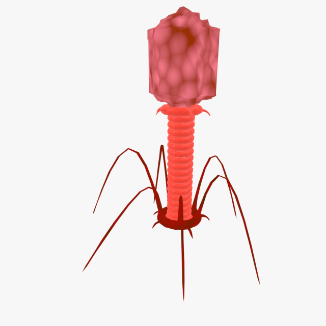 Bacteriophage 3D Модель .c4d .max .obj .3ds .fbx .stl .blend 
