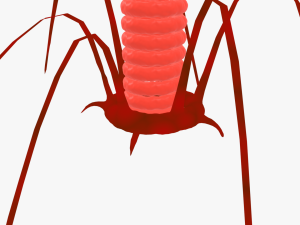 Bacteriophage 3D Модель