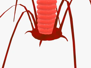 Bacteriophage 3D Model