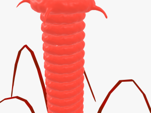 Bacteriophage 3D Модель