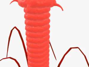 Bacteriophage 3D Model