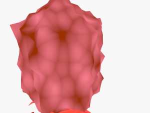 Bacteriophage 3D Модель