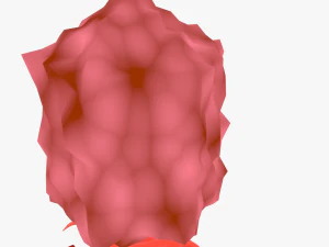 Bacteriophage 3D Model