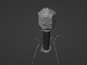 Bacteriophage 3D Модель