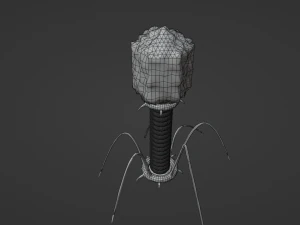 Bacteriophage 3D Model