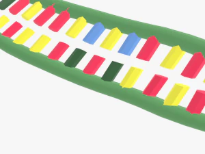 Structure of DNA 3D Model