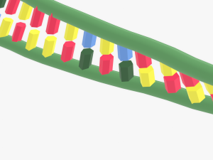 Structure of DNA 3Dモデル